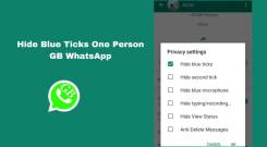 How To Disable Blue Ticks In GB WhatsApp: A Complete Guide